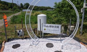 Halu