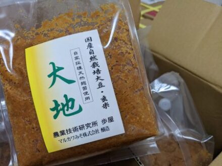 大地味噌
