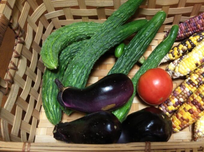 野菜